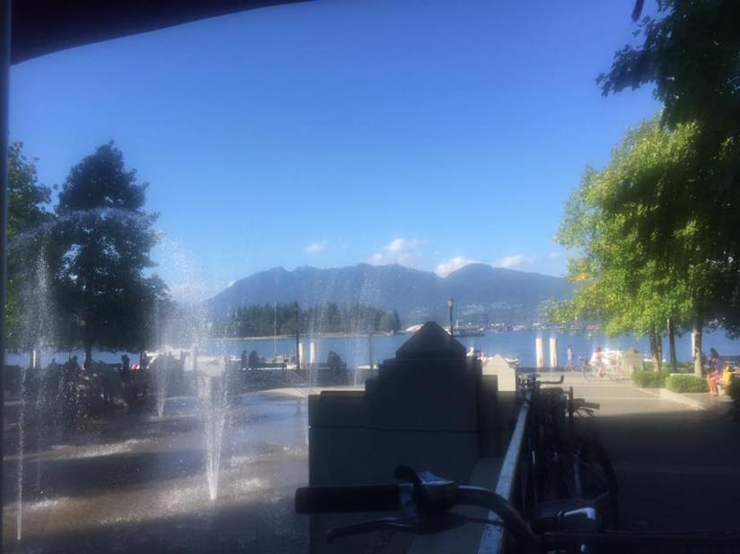 13872733_10155122411568626_3217570620972260592_n